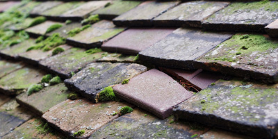 Babraham roof repair costs